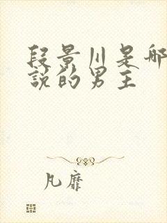 段景川是哪部小说的男主