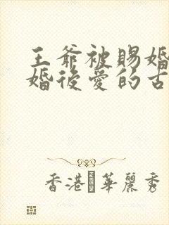 王爷被赐婚的先婚后爱的古言小说