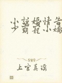 小说婚情告急顾少霸宠小娇妻