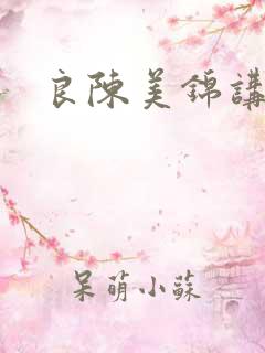 良陈美锦讲的啥