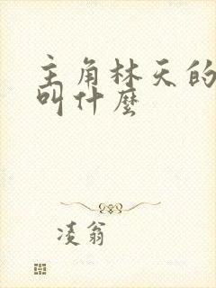 主角林天的小说叫什么