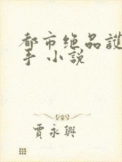都市绝品护花高手 小说