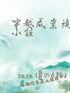 穿越成崇祯帝的小说