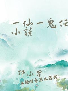 一仙一鬼任平生小说