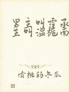 男主叫霍承钧女主叫温栀南的小说