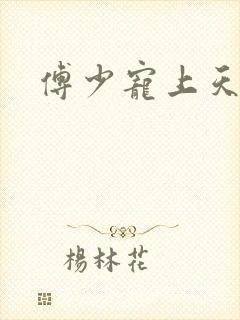 傅少宠上天小说