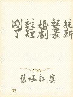 刚离婚系统就来了短剧最新章节更新