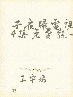 子夜归电视剧34集免费观看全集高清