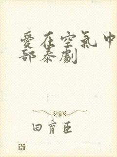 爱在空气中第二部泰剧