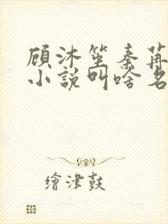 顾沐笙秦苒微的小说叫啥名字