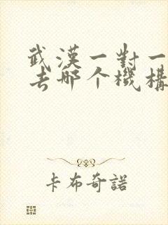 武汉一对一补课去哪个机构