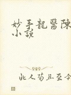 妙手龙医陈万里小说