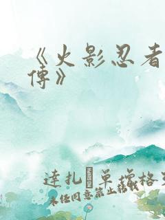 《火影忍者疾风传》