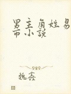 男主角姓易的都市小说