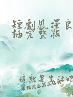 短剧凤择良木而栖完整版