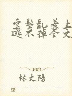 云鬓乱惹上权臣逃不掉全文免费下载