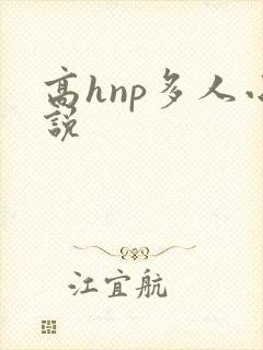 高hnp多人小说