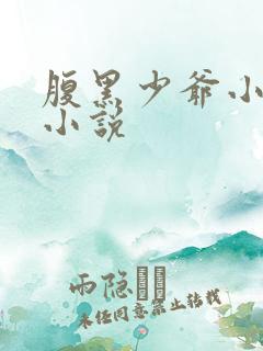 腹黑少爷小甜妻小说