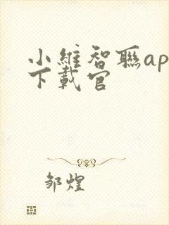 小维智联app下载官