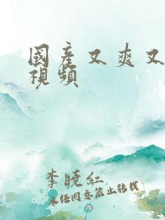 国产又爽又黄又视频