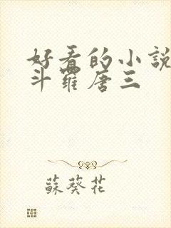 好看的小说穿越斗罗唐三