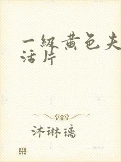 一级黄色夫妻生活片