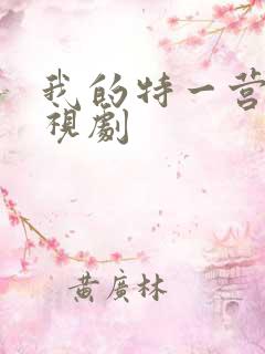 我的特一营 电视剧