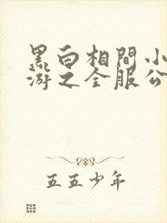 黑白相间小说网游之全服公敌