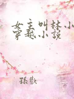 女主叫林小满的穿越小说