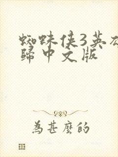 蜘蛛侠3英雄无归中文版