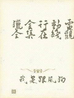 猎金行动电视剧全集在线观看