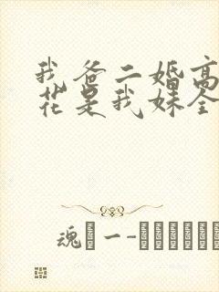 我爸二婚高冷校花是我妹全集介绍