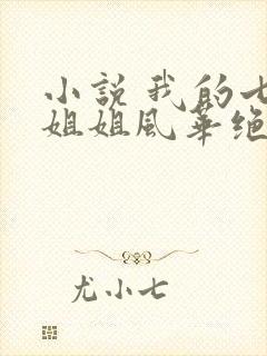 小说 我的七个姐姐风华绝代