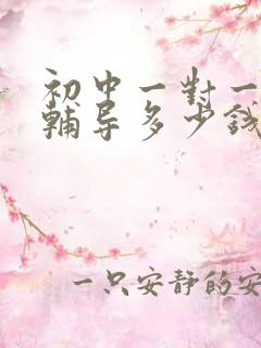 初中一对一数学辅导多少钱