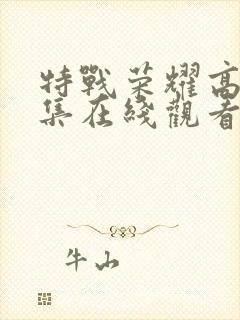 特战荣耀高清全集在线观看