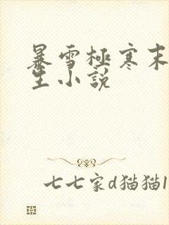 暴雪极寒末世重生小说