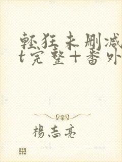 轻狂未删减txt完整+番外