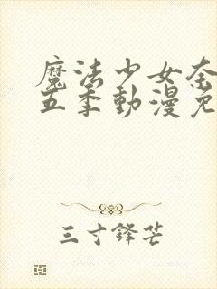 魔法少女奈叶第五季动漫免费