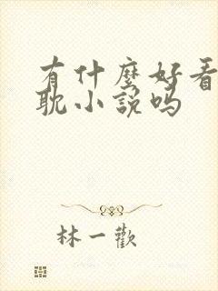 有什么好看的原耽小说吗