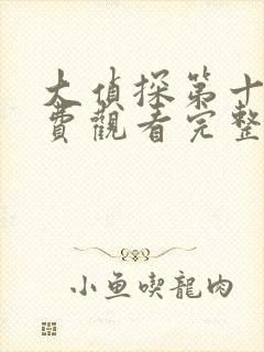 大侦探第十季免费观看完整版高清