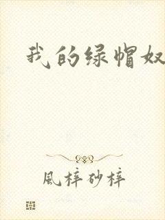 我的绿帽奴老公