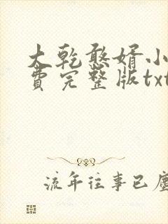 大乾憨婿小说免费完整版txt