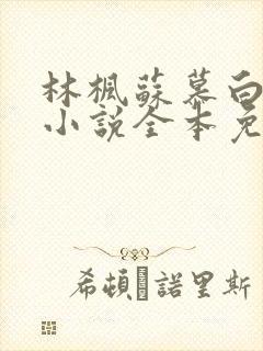 林枫苏慕白穿越小说全本免费阅读1057