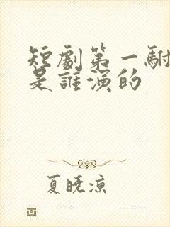 短剧第一驸马爷是谁演的