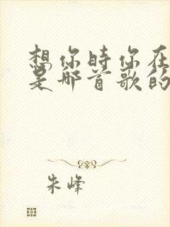 想你时你在哪里是哪首歌的歌词