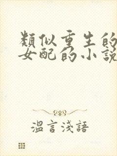 类似重生的穿越女配的小说