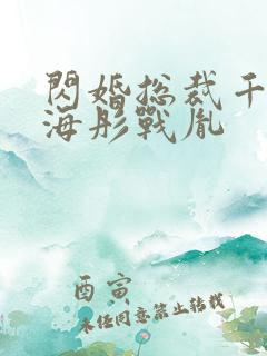 闪婚总裁千亿宠海彤战胤