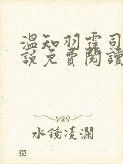 温知羽霍司砚小说免费阅读