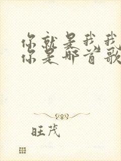 你就是我我就是你是哪首歌的歌词