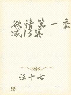 欲情第一季未删减13集